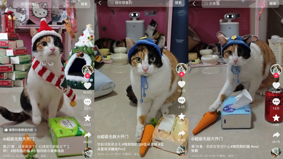 图片 10.png 图片 10.png