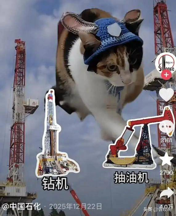 图片 11.png 图片 11.png